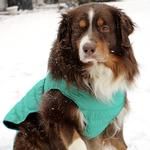 Alpine Extreme Weather Puffer Coat - Arcadia (Option: X-Small)