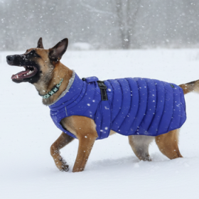 Alpine Extreme Weather Puffer Coat - Navy Blue (Option: X-Small)
