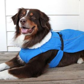 Alpine Tuf Terrain Dog Coat - Mountain Lake (Option: X-Small)