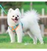 dog Harnesses and dog leash set; Pet Chest Strap Vest Dog Strap Small Dog Rope Wholesale Reflective Dog Towing Rope