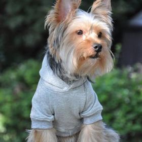 Flex-Fit Dog Hoodie - Gray (Option: X-Small)