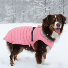 Alpine Extreme Weather Puffer Coat - Peach (Option: X-Large)