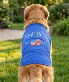 America Dog Shirt - Blue (Option: X-Large)