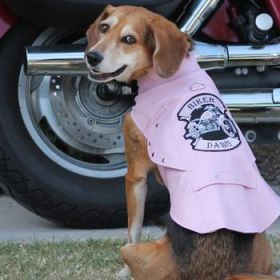 Biker Dawg Motorcycle Dog Jacket - Pink (Option: 3X-Large)