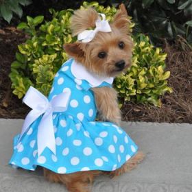 Blue Polka Dot Dog Dress with Matching Leash (Option: X-Large)