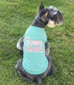 Bunny Chaser Dog Shirt - Teal (Option: 3X-Large)