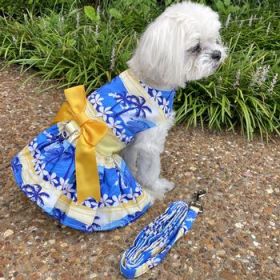 Catching Waves Dog Dress with Matching Leash (Option: X-Large)