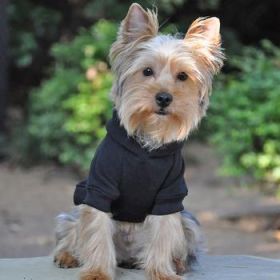 Flex-Fit Dog Hoodie - Black (Option: X-Large)