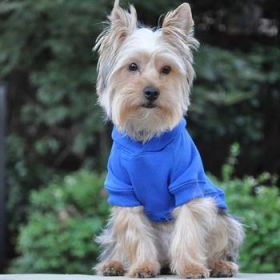 Flex-Fit Dog Hoodie - Blue (Option: 4X-Large)