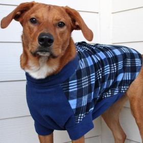 Highline Fleece Dog Coat - Blue Plaid (Option: Size 16)