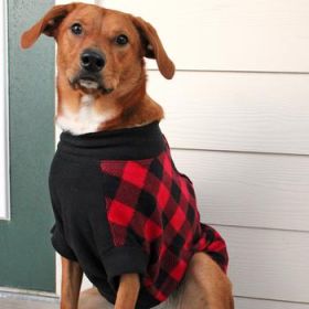 Highline Fleece Dog Coat - Red and Black Plaid (Option: Size 28)