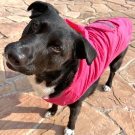 Packable Raincoat - Pink (Option: 3X-Large)