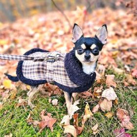Sherpa-Lined Dog Harness Coat - Brown & White Plaid (Option: 2X-Large)