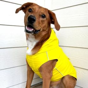 Slicker Raincoat with Striped Lining - Yellow (Option: X-Large)