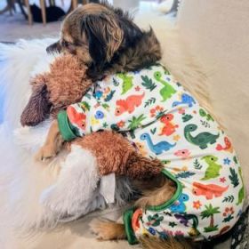 Soft Dog Pajamas - Dinos (Option: 2X-Large)