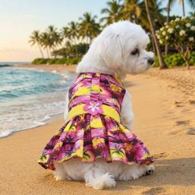Tropical Sunset Dog Dress with Matching Leash (Option: X-Large)