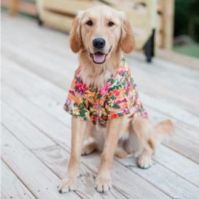 Hawaiian Camp Shirt - Sunset Hibiscus (Option: XX-Small)