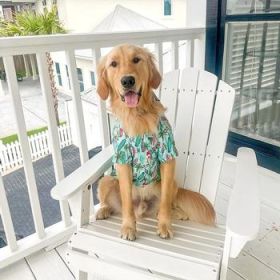 Hawaiian Camp Shirt - Surfboards and Palms (Option: XX-Small)