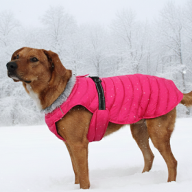 Alpine Extreme Weather Puffer Coat - Pink Peacock (Option: Large)