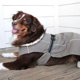 Alpine Tuf Terrain Dog Coat - Dried Sage (Option: Large)
