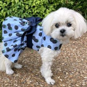 Blackberries Dog Dress with Matching Leash (Option: Large)