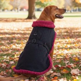Sherpa-Lined Dog Harness Coat - Black & Burgundy Dots (Option: Large)