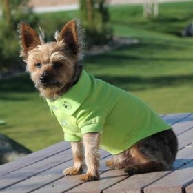 Solid Dog Polo - Green Flash (Option: X-Large)