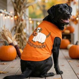 Trick or Treat Pup Dog Shirt - Sunset Orange (Option: Large)