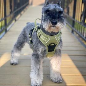 Venture Paw Pull Control Dog Harness - Aspen (Option: Large)