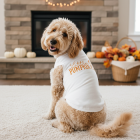 Little Pumpkin Pie Dog Shirt - White (Option: X-Small)