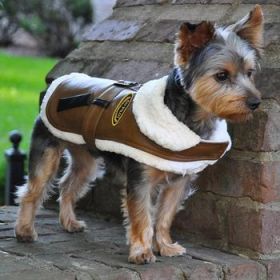 Brown and Black Faux Leather Bomber Dog Coat Harness and Leash (Option: Small)