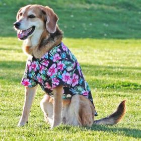 Hawaiian Camp Shirt - Paradise Nights (Option: X-Small)