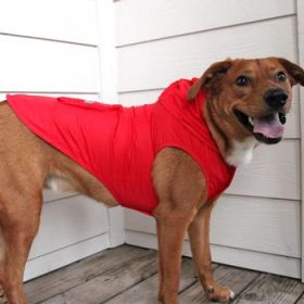 Packable Raincoat - Red (Option: X-Small)