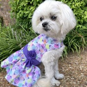 Purple Butterfly Dog Dress with Matching Leash (Option: Small)