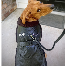 Top Dog Flight Harness Coat by Doggie Design - Black (Option: Small)
