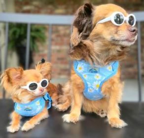 Wrap and Snap Choke Free Dog Harness by Doggie Design - Blue Daisy (Option: Small)