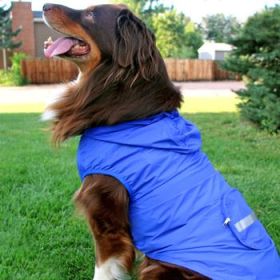 Packable Raincoat - Blue (Option: Small)