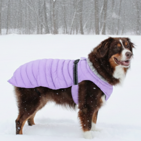 Alpine Extreme Weather Puffer Coat - Soft Plum (Option: Medium)