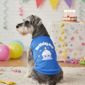 Birthday Boy Dog Shirt - Blue (Option: Large)