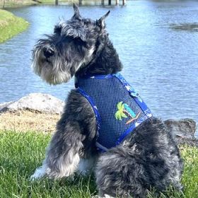 Cool Mesh Dog Harness with Leash - Ocean Blue and Palms (Option: Medium)