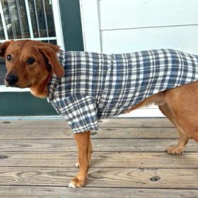 Flannel Dog Shirt - Gray and Blue Plaid (Option: Small)