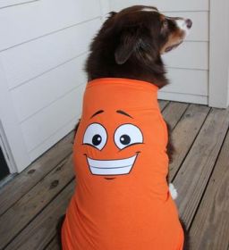 Happy Face Dog Shirt - Sunset Orange (Option: Medium)
