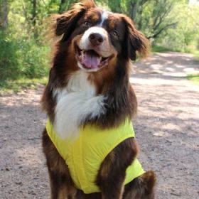 Packable Raincoat - Yellow (Option: Medium)