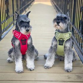 Venture Paw Pull Control Dog Harness - Crimson (Option: Medium)