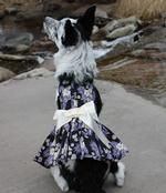 Purple Twilight Hawaiian Dog Dress with Matching Leash (Option: Small)