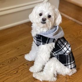 Weekender Dog Sweatshirt Hoodie - Black & White Plaid Flannel (Option: X-Small)
